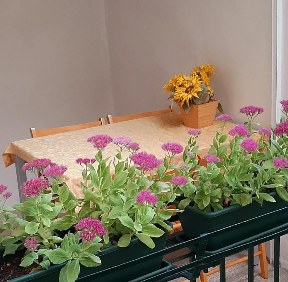 Ca' Dore Venice Apartment